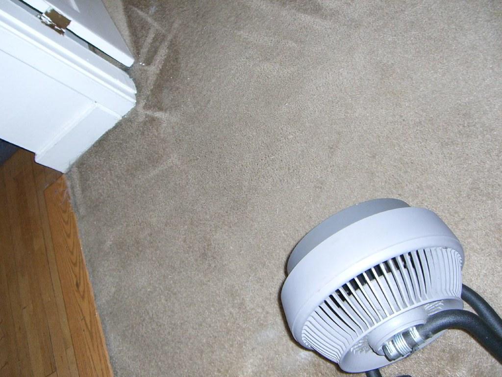The same carpet clean and even after extraction cleaning